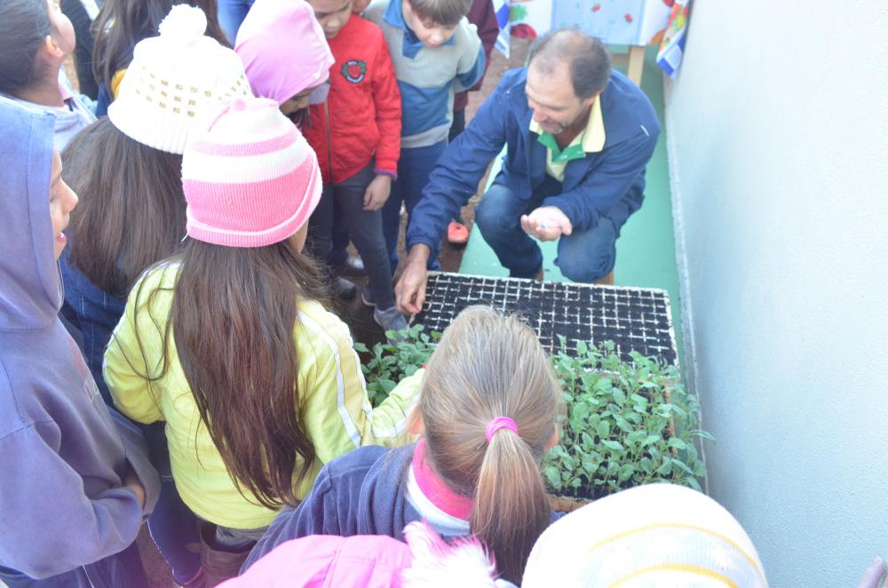 Alunos do 3º ano da Escola Santiago Dantas visitam propriedade rural